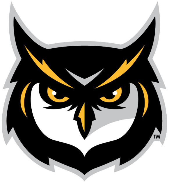 Kennesaw State Owls 2012-Pres Alternate Logo v3 diy fabric transfer